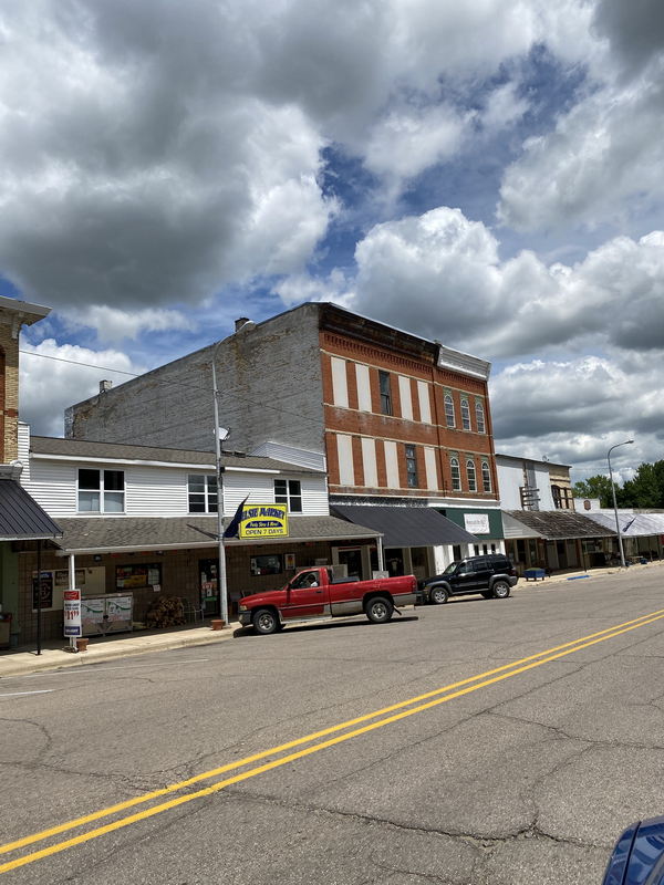 Elsie - July 12 2020 (newer photo)